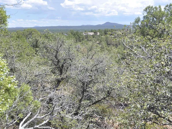 555 E Snowcap Ct, Show Low, AZ 85901