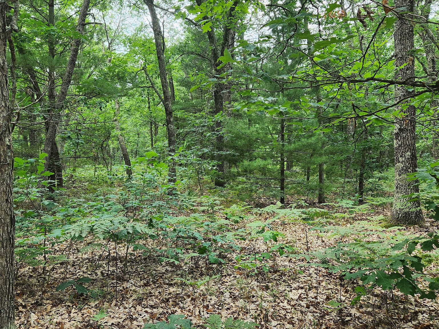 Vl S Star Lake Rd, Baldwin, MI 49304 Zillow