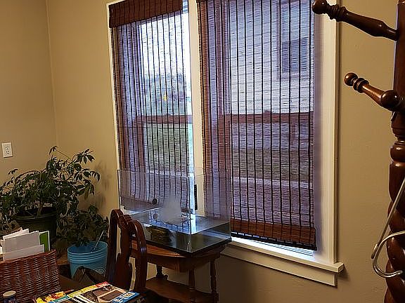 Dining room windows