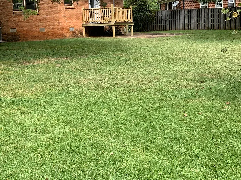 Fenced back yard