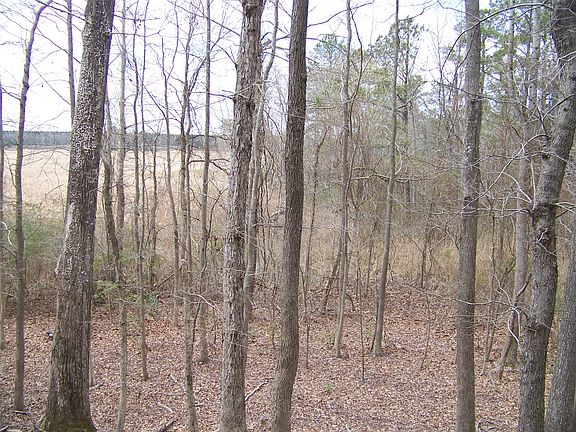 5th image of 1224 Creekway Dr
