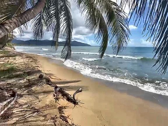 3rd image of BEACH FRONT PUNTA GUILARTE