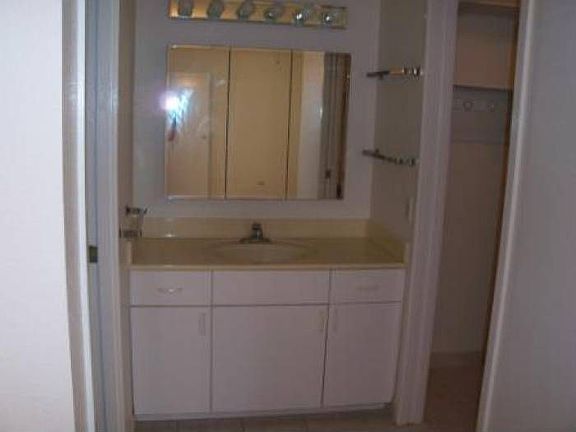 Master Bathroom Area