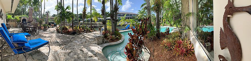 Amazing Back yard.