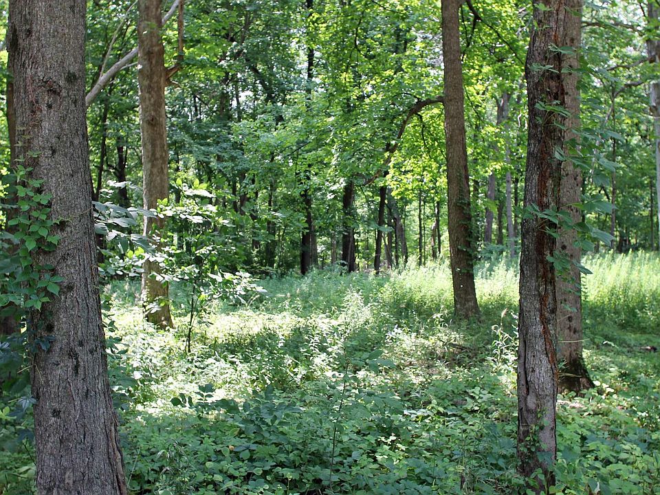 2nd image of Country Hills Ln