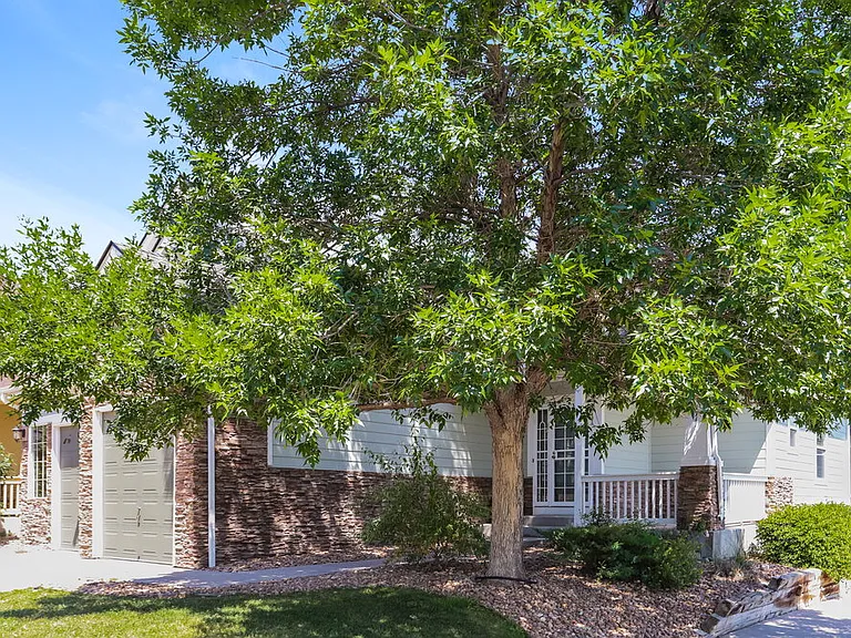 1711 Red Poppy Dr — Photo 5