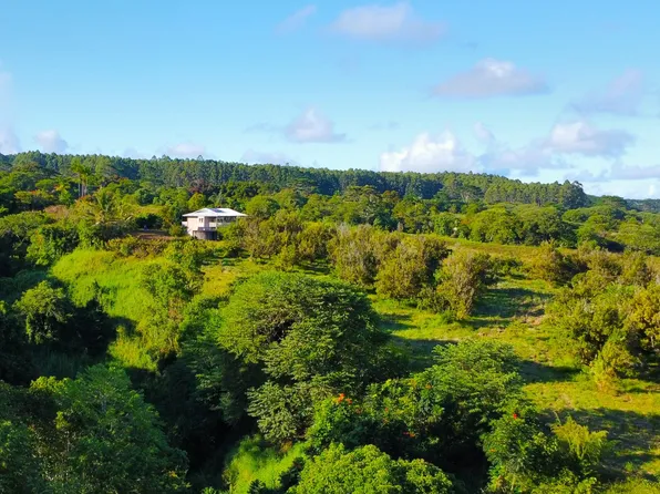 2525 Maikalani St Lot 62, Hilo, HI 96720