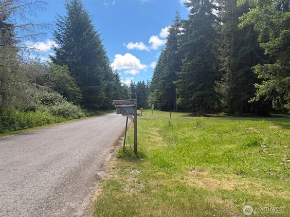 11843 Blue Glacier Lane SE, Yelm, WA 98597
