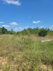 149 E Hines Street, Fair Grove, MO, 65648