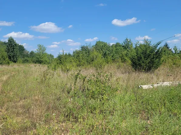 149 E Hines Street, Fair Grove, MO 65648