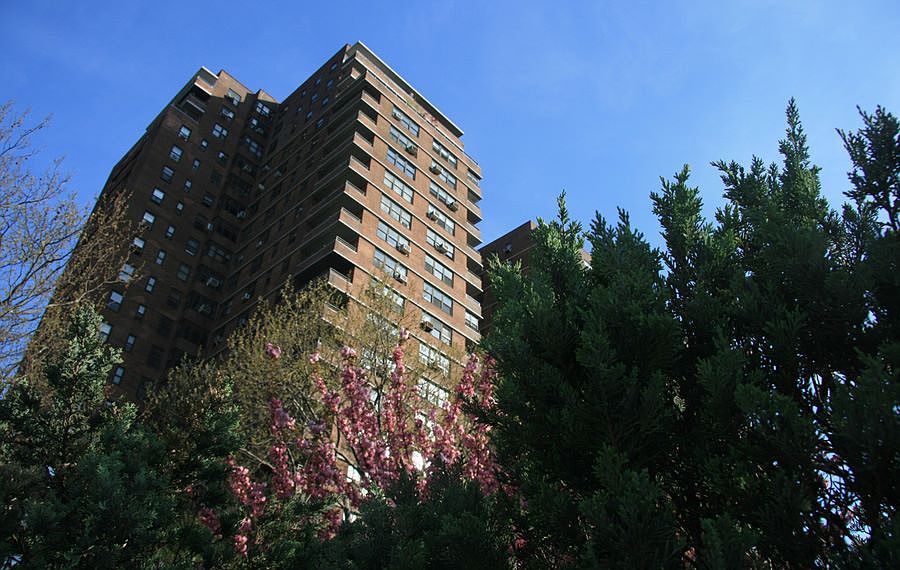 seward park coop
