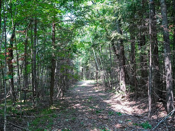4th image of Lots 6 8 Hunters Ridge Rd