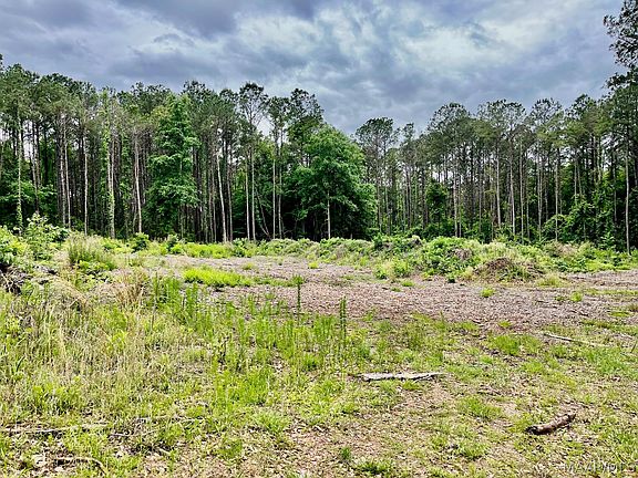 3rd image of 2367 Mitchell Creek Rd