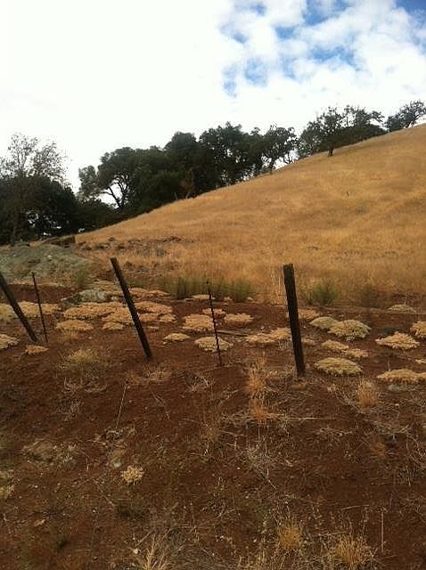 1st image of 2100 Dahlberg Dr