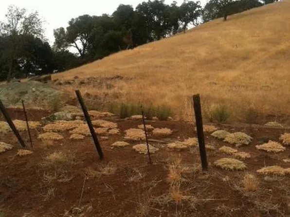 2100 Dahlberg Dr, Morgan Hill, CA 95037