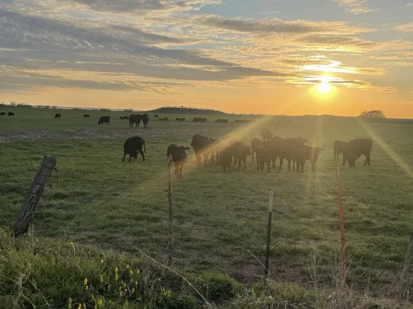 County Road 200, San Saba, TX 76877