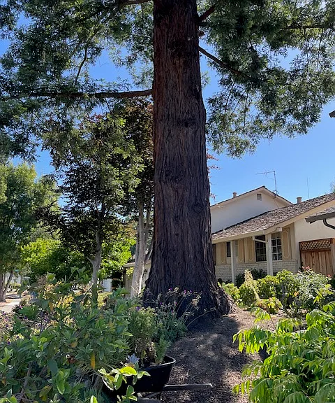 1240 Oak Knoll Dr — Photo 16
