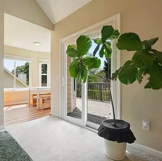 2885 Cressington Bnd NW — Photo 10