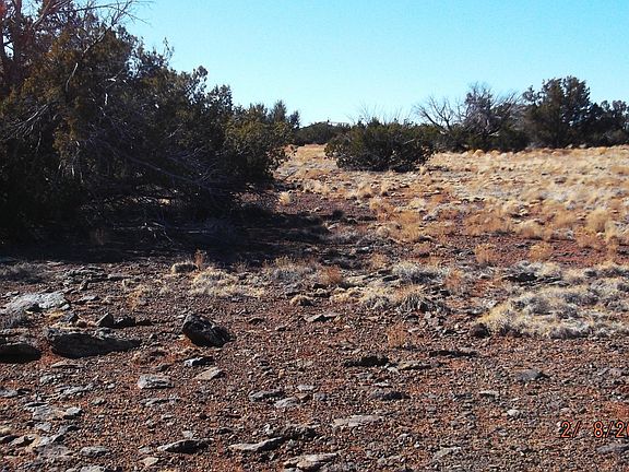 5th image of 7833-7833 Cedar Trail