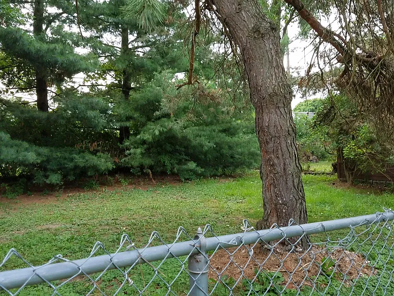 521 N Hagadorn Rd — Photo 35