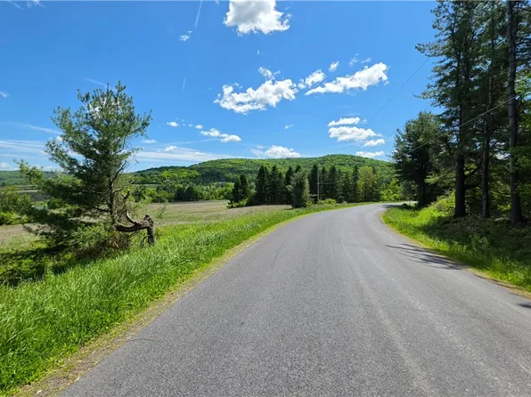 228 Burns Rd, Brooktondale, NY 14817