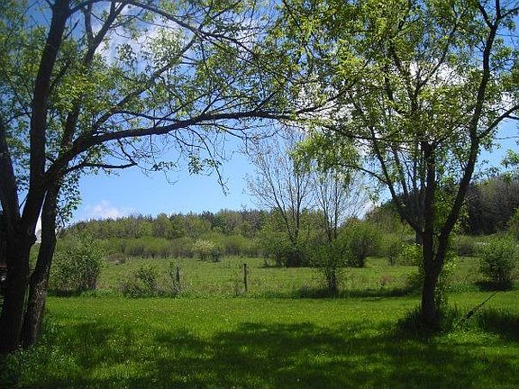 View out to the pasture.