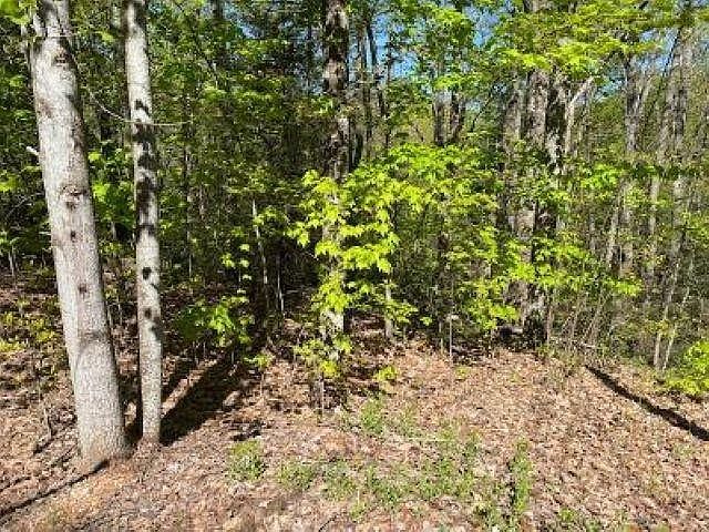 1st image of 195 N Oak Ct Lot 195A