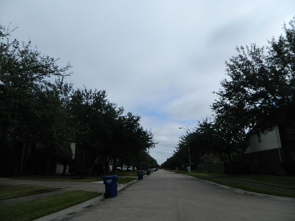 5th image of 6915 Oakbranch Manor Ln