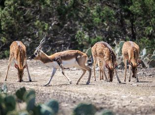 0 Highway 41, Rocksprings, TX 78880