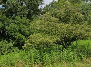 0 Cottonwood Rd, Louisa, KY 41230