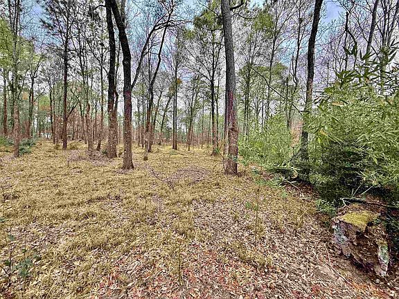 3rd image of 325 Jennings Rd #2