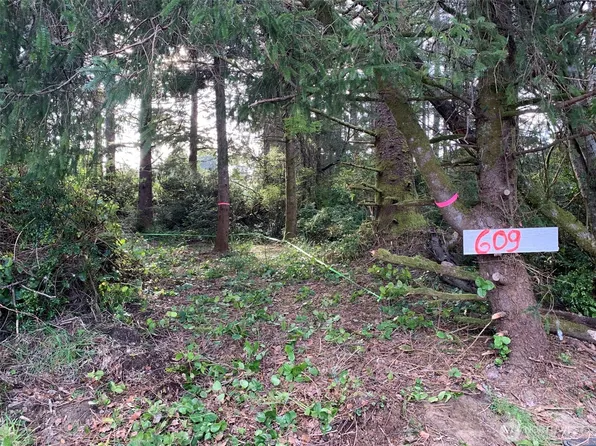 609 Weatherwax Loop, Ocean Shores, WA 98569