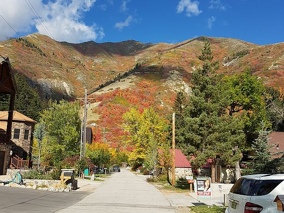 The view at the end of the driveway