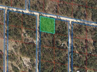 13970 NE 4th St, Williston, FL 32696