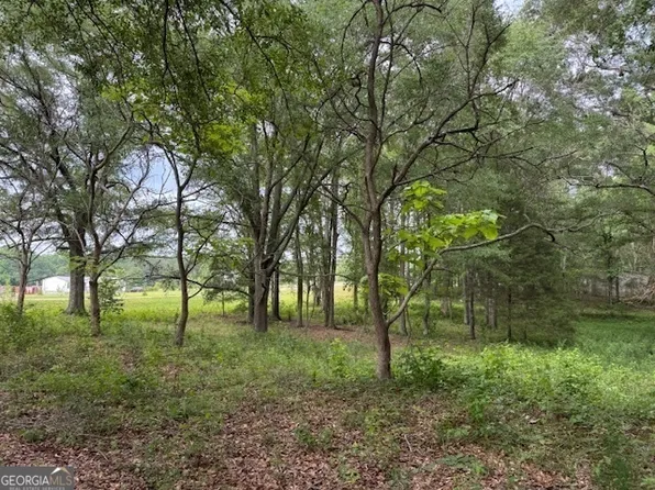 92 Holliday Rd, Franklin, GA 30217