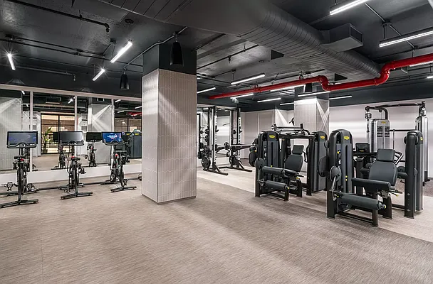 Rented by Greystar | media 15