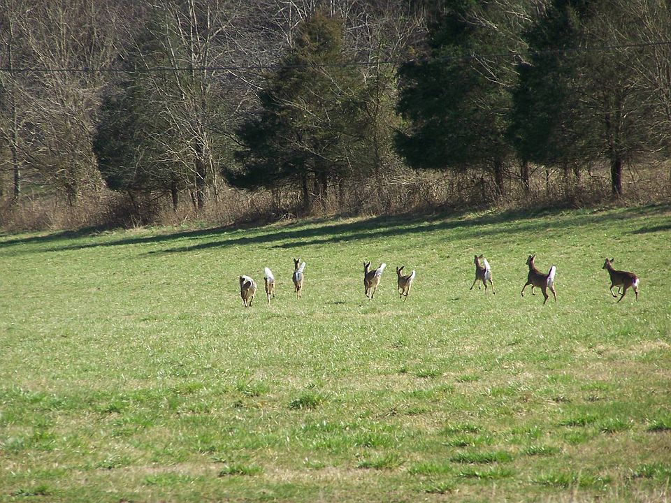 1st image of 145 Judio Creek Rd