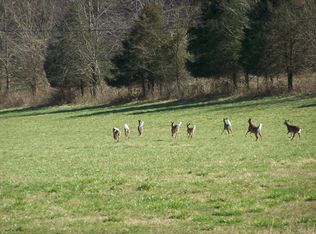 145 Judio Creek Rd, Burkesville, KY 42717