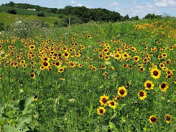 2nd image of L2 N Hay Hollow Road #2