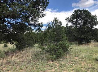 TRACT 3 W #A, Pie Town, NM 87827