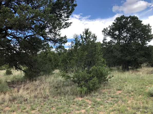 TRACT 3 W #A, Pie Town, NM 87827