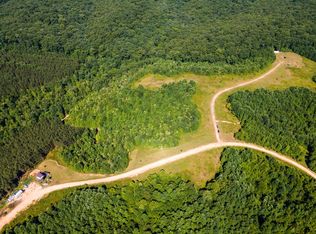 388 Golden View Ln, Hampshire, TN 38461