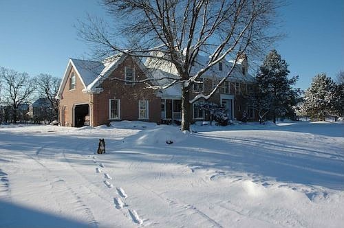 Winter