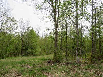 14108 Fire Tower Rd, Sidnaw, MI, 49961
