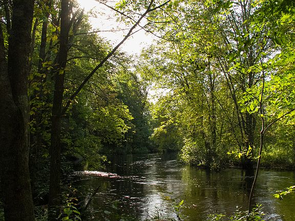 Embarrass River 