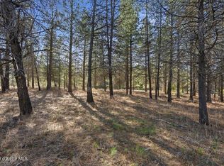 33482 N Charlotte Dr, Spirit Lake, ID 83869