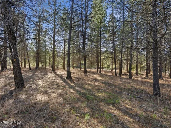 33482 N Charlotte Dr, Spirit Lake, ID 83869