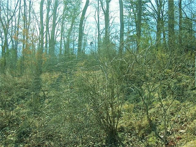 1st image of 661 Rock Creek Dr