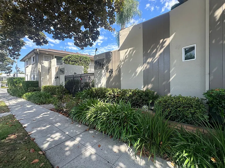 n9797 — Photo 8