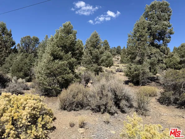 0 Falling Springs Rd, Big Bear City, CA 92314